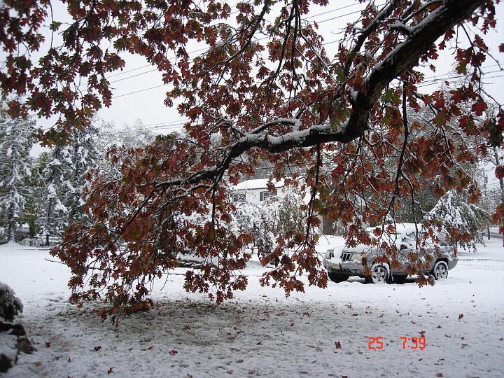 NJ_NY 229.JPG